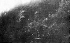 Página 258 (2/2)